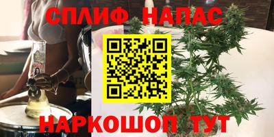 стаф Ставрополь