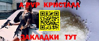 стаф Ставрополь