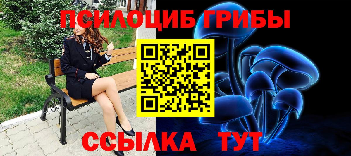 Борисоглебск  Псилоцибиновые грибы мицелий  Вход с VPN 